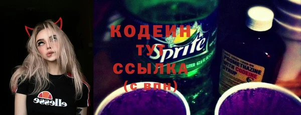 твердый Дмитровск