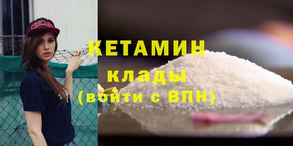 твердый Дмитровск
