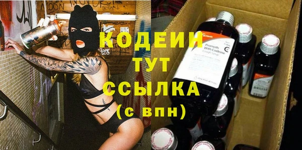 твердый Дмитровск