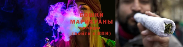 твердый Дмитровск
