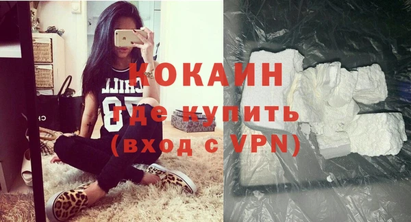 твердый Дмитровск