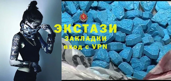 твердый Дмитровск