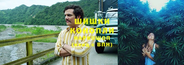 COCAINE Дмитриев